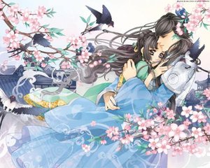 豆奶vpn官网